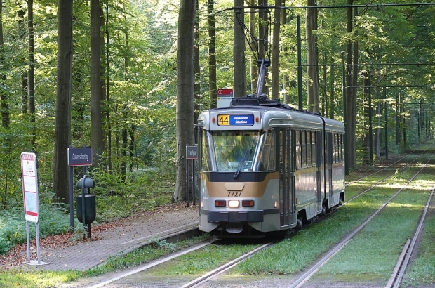Sechs Monate lang keine Straßenbahnen zwischen Montgomery und dem ...