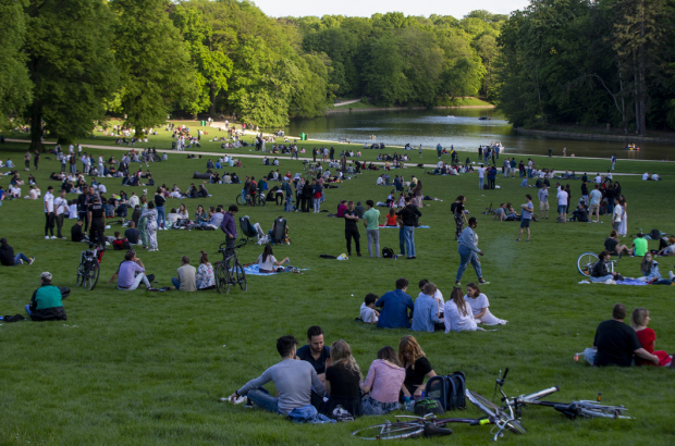 Bird protection society concerned about club night in Bois de la Cambre ...