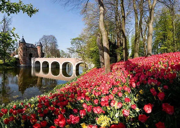 Spring blooms: Visit a flower festival or plant fair in Belgium