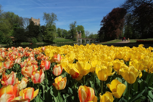 Celebrate spring with a visit to a flower festival or plant fair in ...