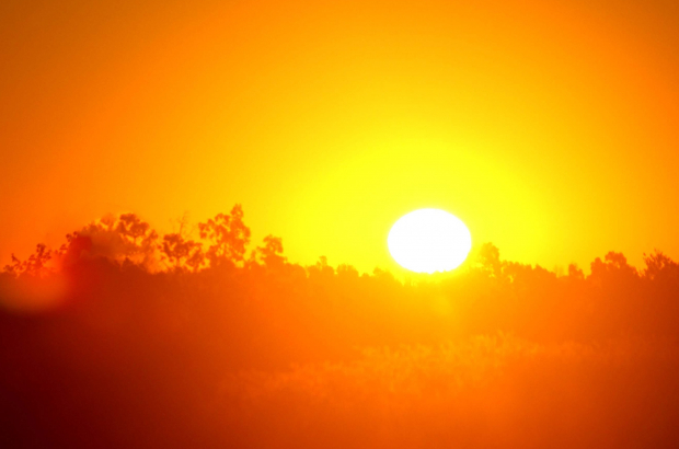 Heatwaves caused 240 excess deaths in Brussels, more than 2 ...