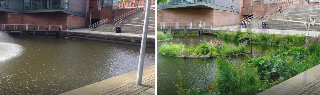 Bridgewater Basin in Manchester, before and after the addition of green islands in 2018