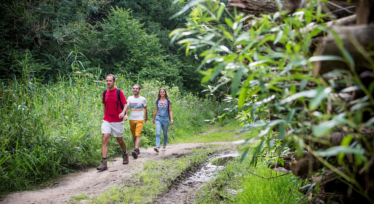 Three hikers in Flemish Brabant