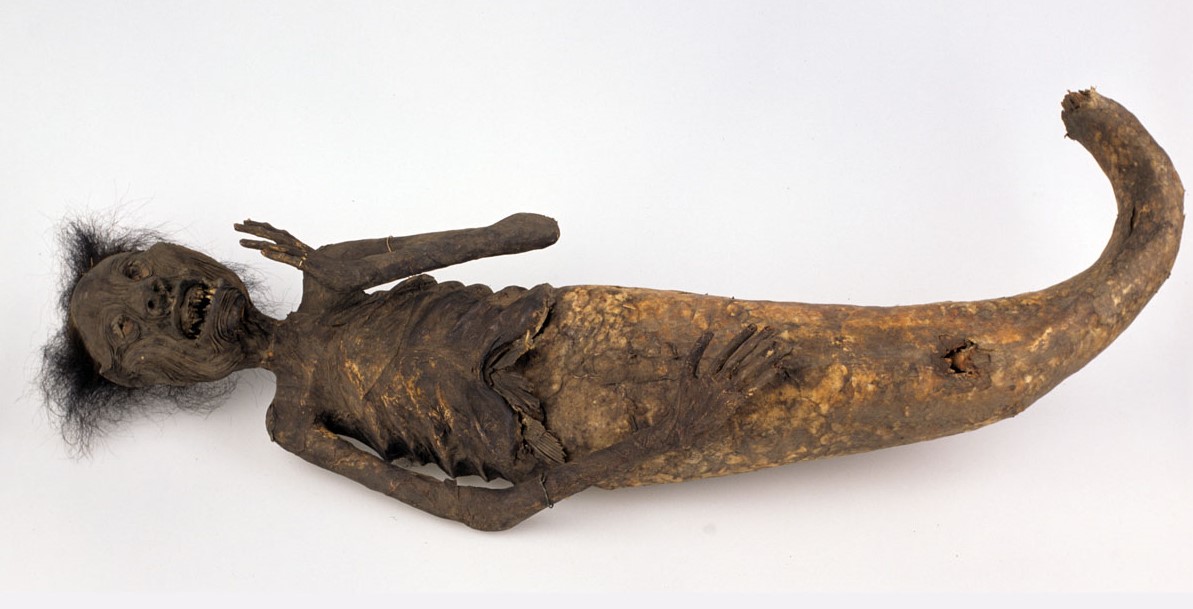 Ningyo, a ‘human fish’, from 19th-century Japan