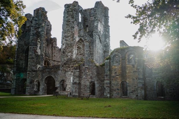 00058386-WBT - Maxime Collin-Abbaye de Villers-la-Ville en automne