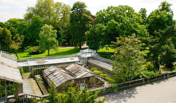00065534-Serres du Jardin Botanique-Serres du Jardin Botanique