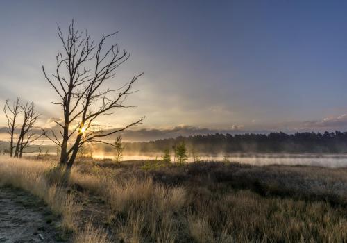 2018_FotoWinterwandelingenMichielVanhoudt herenthals