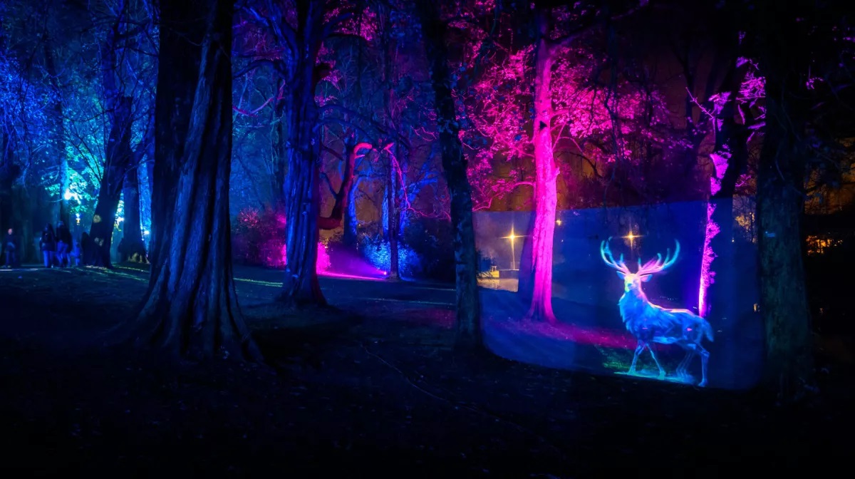 Bruges_JAN6770©jandarthet