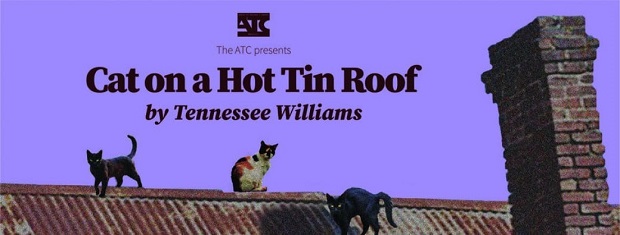 cat-on-a-hot-tin-roof