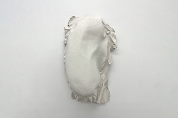 ED-It-could-be-MDD-landscape_SD_2026-01-19-092921_xpqr