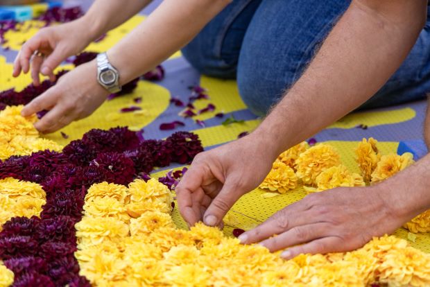 Flower Carpet By Mastershoot-240815-0002