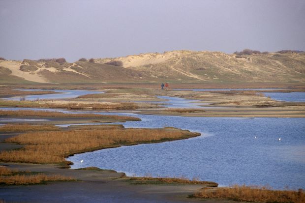 Nature Park Zwin coast Knokke-Heist walking © J.J.Soenen