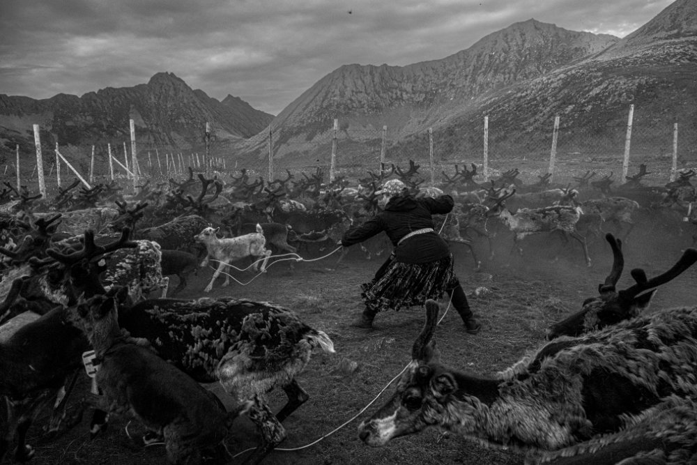 yderst-S-Van-Malleghem2