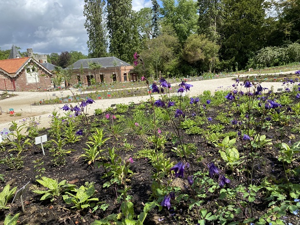 zicht op bloeiende planten_Inheemse Floratuin