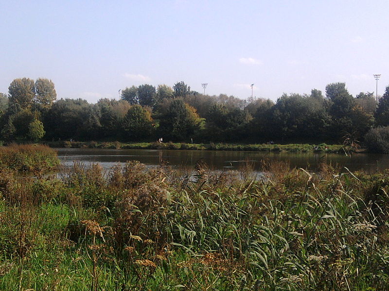 Three places to swim outdoors in Brussels this summer | The Bulletin