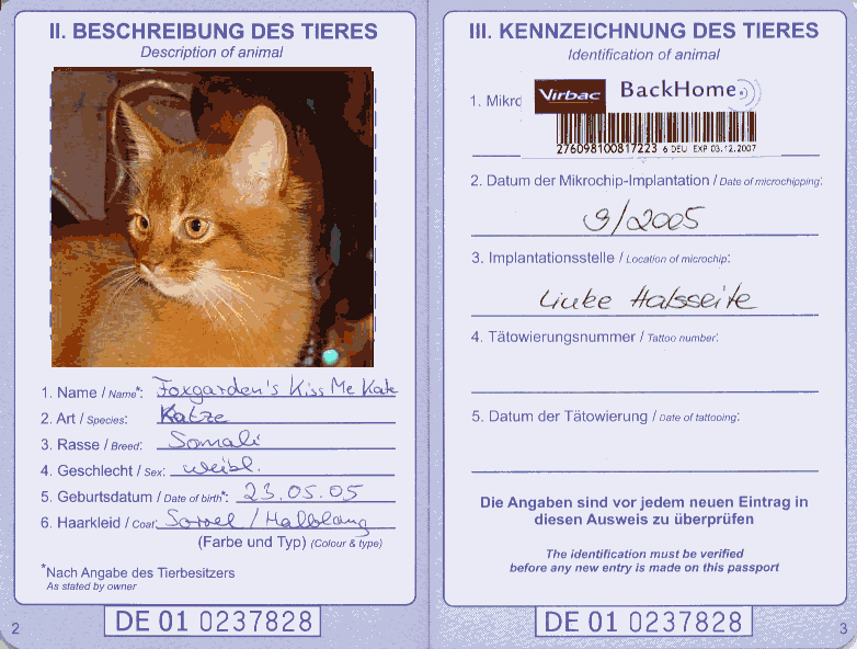 Волосяной покров у кошек для паспорта
