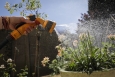 Belgium experiencing drought conditions in many areas 2025 - Belga image