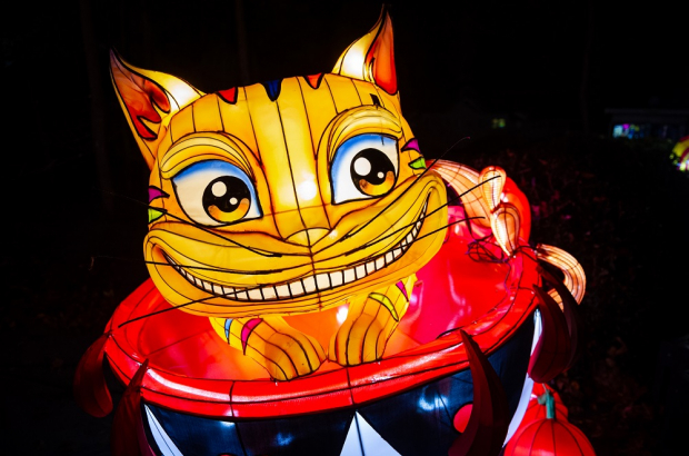 The Cheshire Cat, part of the Alice in Wonderland light festival at Antwerp Zoo