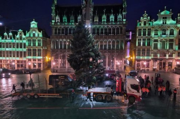 Brussels Grand Place Christmas Tree Winter Wonders