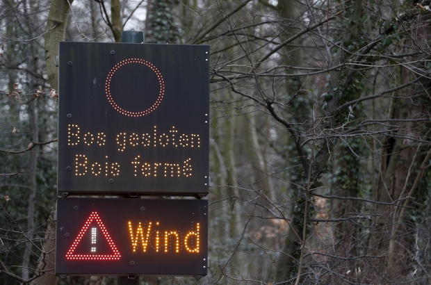 Storm warning, parks closed (c) Belga