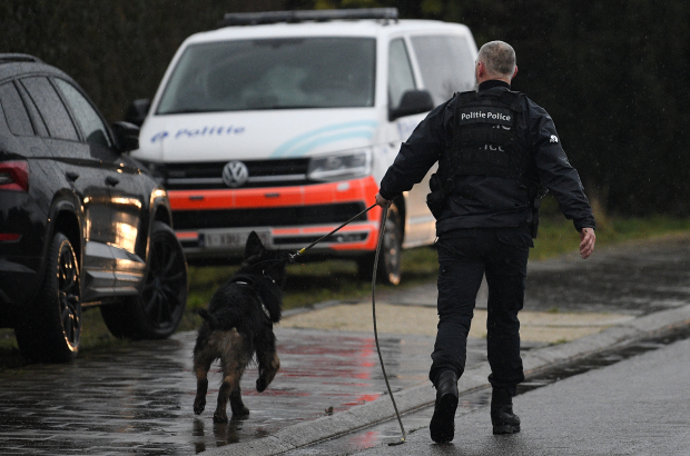 Brussels West police dogs issued with canine stab vests | The Bulletin