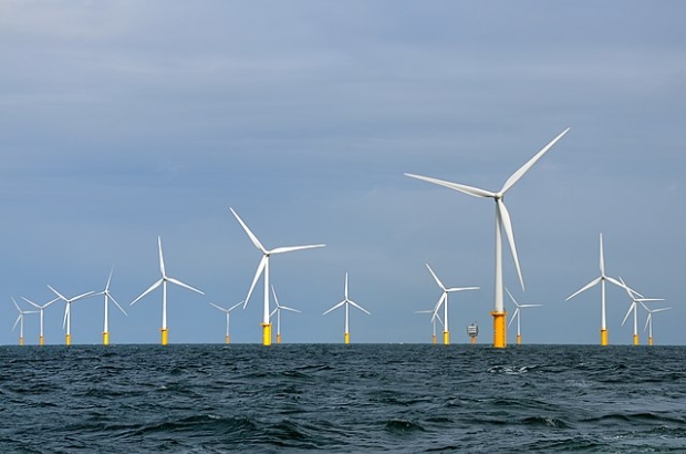 Belwind wind farm on the Bligh Bank, on the Belgian part of the North Sea (Wikimedia Creative Commons)