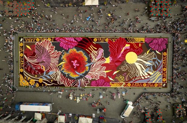 Brussels Flower Carpet 2024