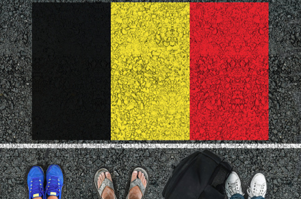 Britons in Belgium go ahead for dual nationality