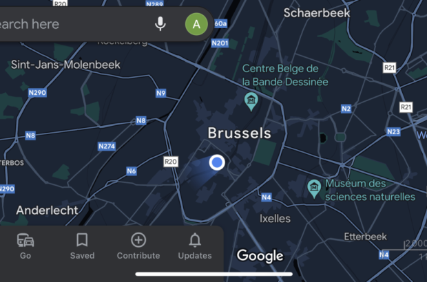 A screenshot of Brussels on the new Google Advanced Maps app (Google)