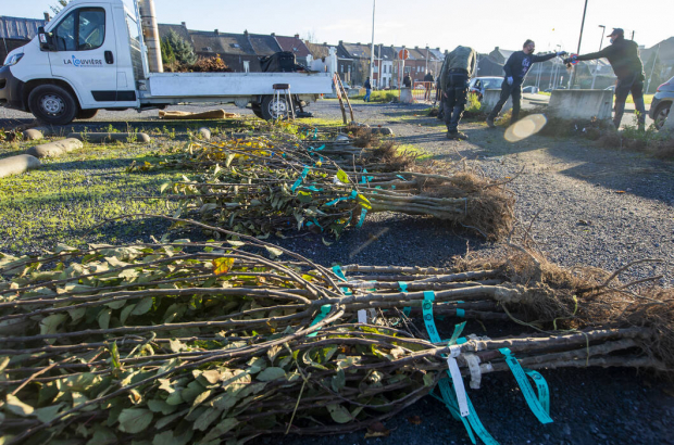 Illustration picture shows the distribution of fruit trees at the start of the 'Yes We Plant' challenge, at a temporary drive in, in La Louviere, Saturday 28 November 2020. (BELGA PHOTO NICOLAS MAETERLINCK)
