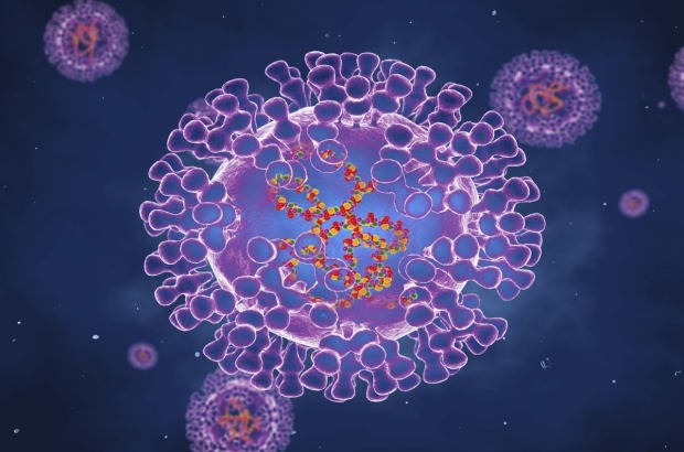 Monkeypox virus - Science Library Photo