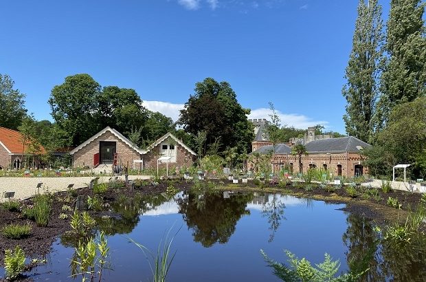 Meise Botanic Garden opens new native flora garden