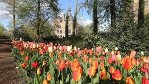 Floralia - Groot-Bijgaarden castle - Belgium