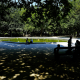 Illustration picture shows people enjoying the shade at the Warandepark/ Parc de Bruxelles, in the center of Brussels Thursday 26 July 2018. (BELGA PHOTO NICOLAS MAETERLINCK)