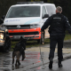 A Belgian police dog on patrol with its handler (BELGA PHOTO YORICK JANSENS)