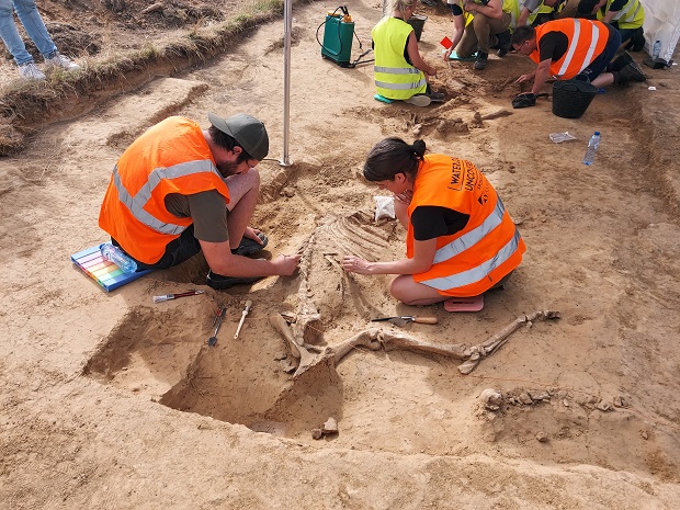 Human Bones From Battle Of Waterloo Unearthed The Bulletin